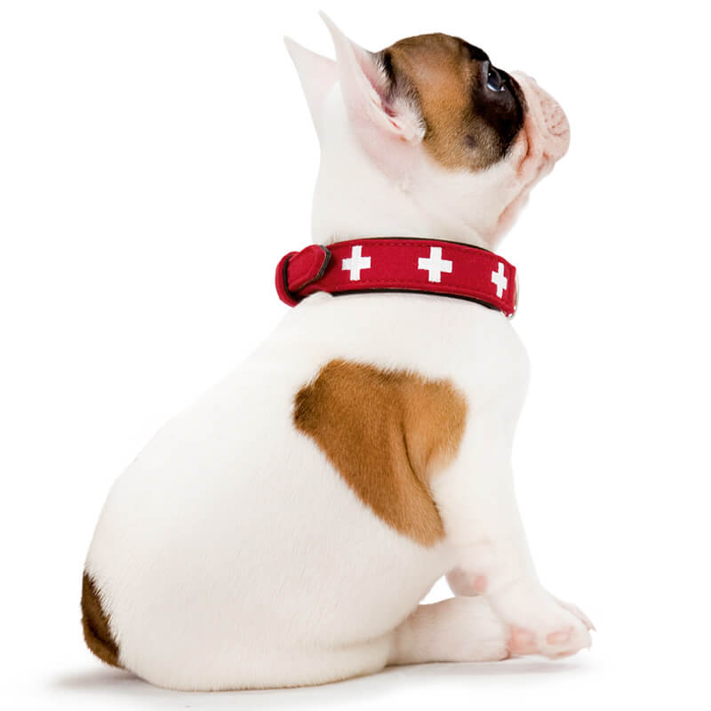 Lederhalsband Swiss Small