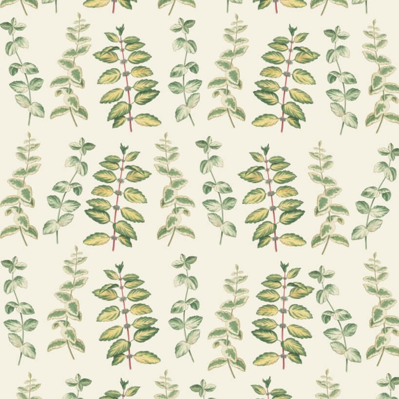 RHS Decoupage Papier Mint