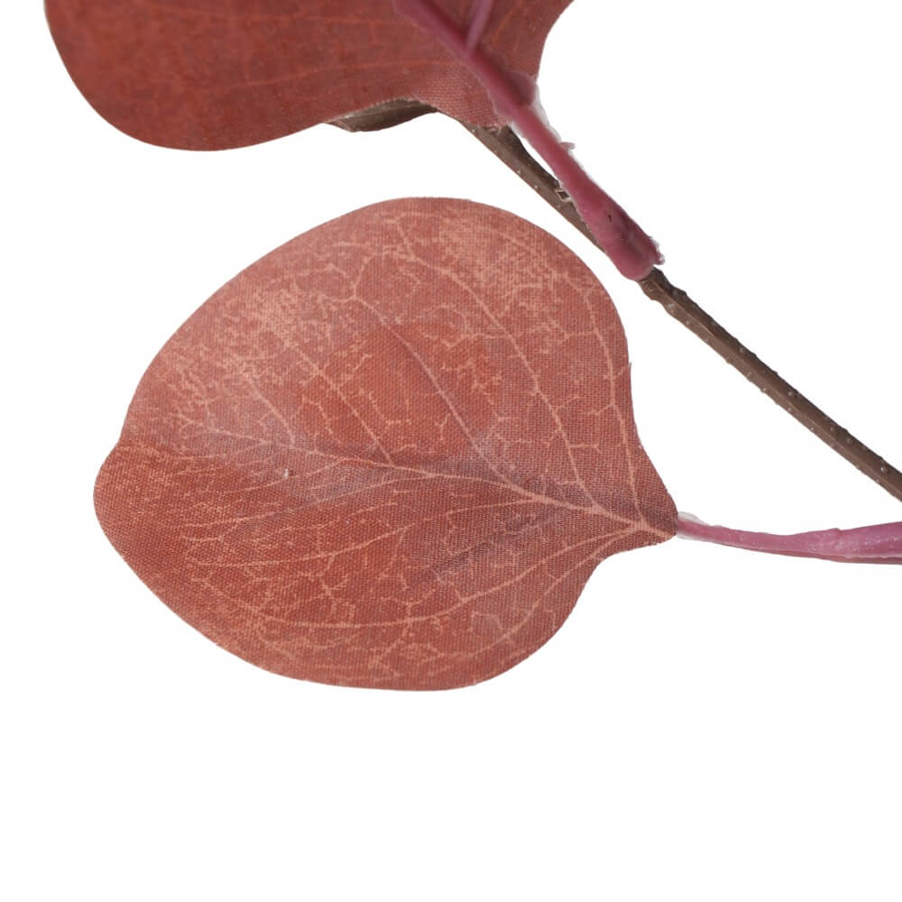 Dekozweig Eukalyptus Rosé