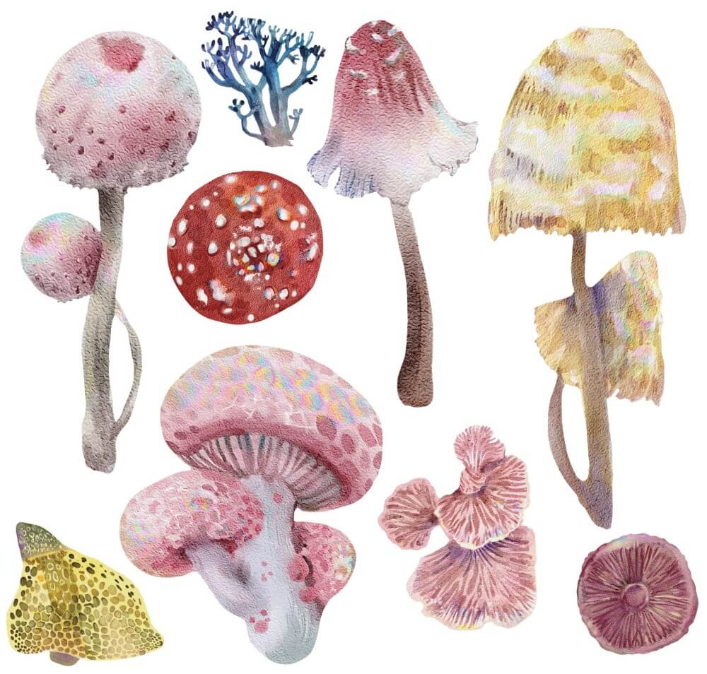 Deko Transferfolie Magic Mushrooms Petite