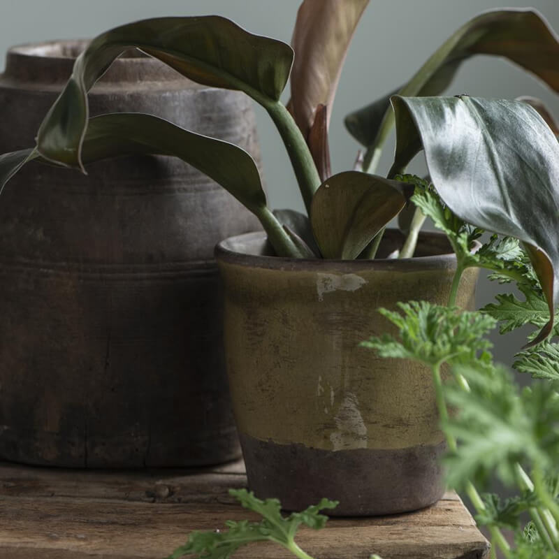 Keramik Blumentopf Grün | Vintage Übertopf