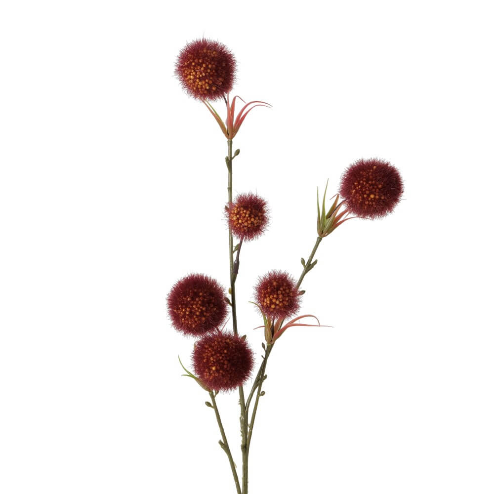 Dekozweig Allium Dunkelrot