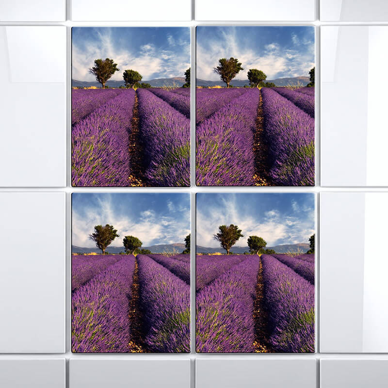 Fliesen Klebefolie Lavendel Einzelbilder.