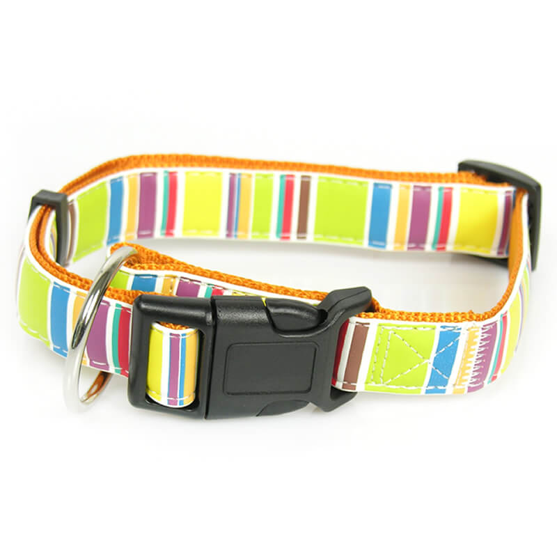 Hundehalsband Fancy Stripes